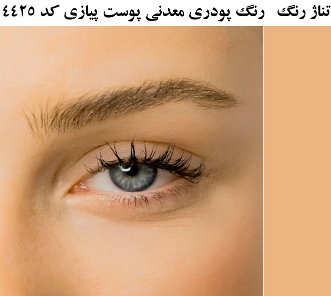 رنگ پوست پیازی 4425